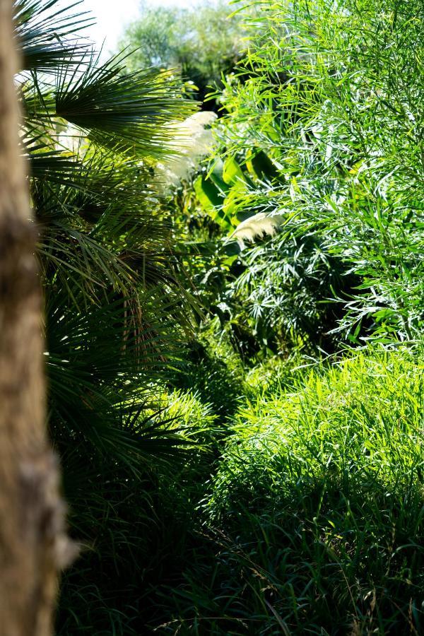 A Natural Retreat Mijas Extérieur photo